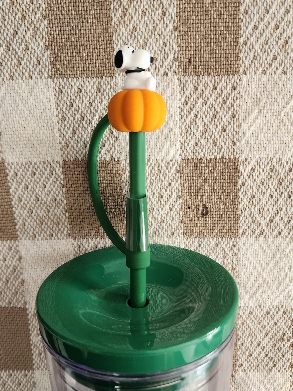 Peanuts x Starbucks Clear Autumn Cold Cup – BNWT